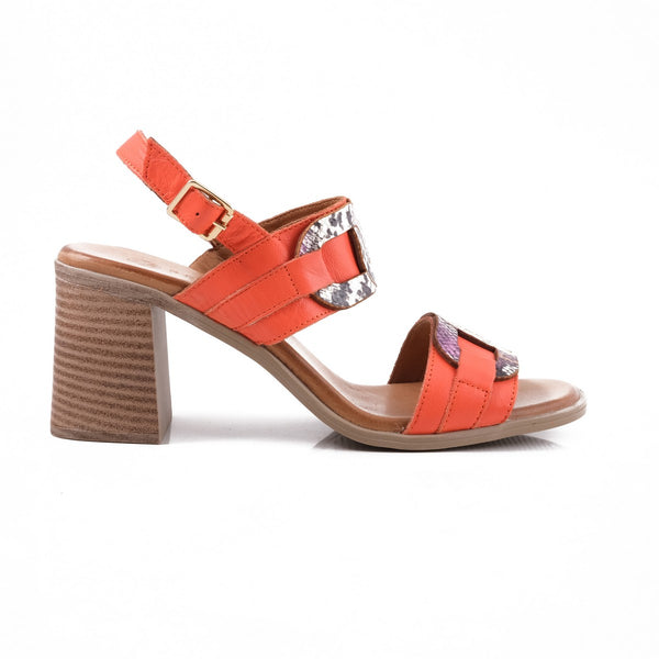 Pesso Shandra Coral Multi